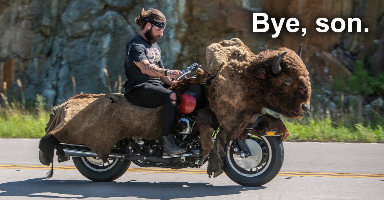 Biker with Buffalo Motorcycle